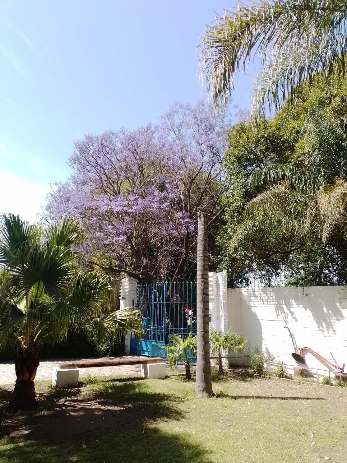 Apart Universidad Rio Cuarto Ngoại thất bức ảnh